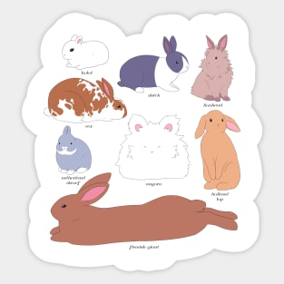 beginner's guide to bunnies Sticker
